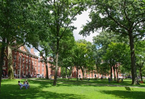 A grassy stretch between some of the buildings on the historic Harvard University campus.